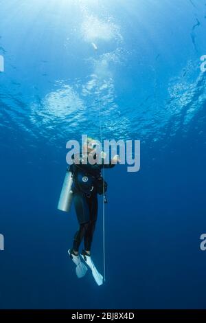 Scuba Diver, der Sicherheitsstopp macht, New Ireland, Papua-Neuguinea Stockfoto