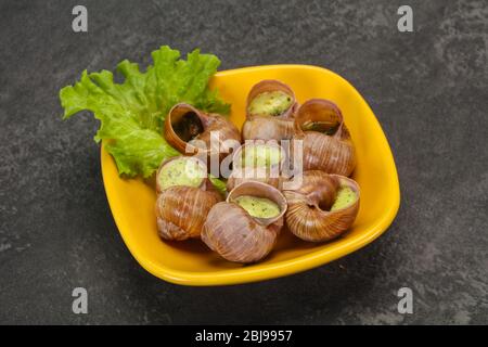 Französische Küche - Escargot mit Butter Sauce Stockfoto