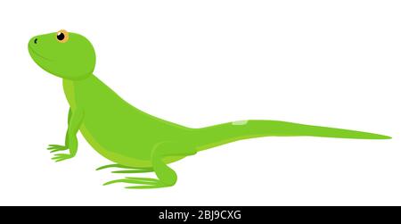 Cartoon helle grüne Eidechse, die nach oben schaut. Reptile Charakter Illustration isoliert auf weißem Hintergrund Stock Vektor