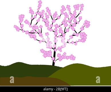 Sakura blüht auf Baum in der Natur Stock Vektor