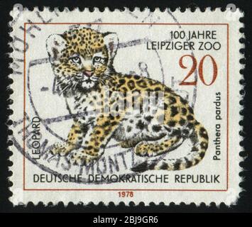 DEUTSCHLAND- UM 1978: Briefmarke gedruckt von Deutschland, zeigt Leopard, um 1978. Stockfoto