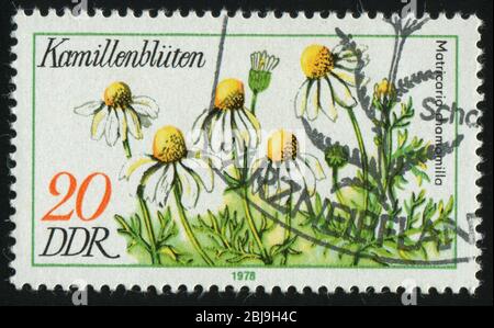 DEUTSCHLAND- UM 1978: Briefmarke gedruckt von Deutschland, zeigt Kamille, um 1978. Stockfoto