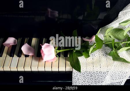 Rosa Rose auf Klaviertasten Stockfoto