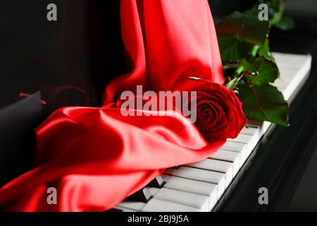 Rosa Rose auf Klaviertasten Stockfoto