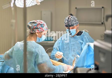 Arzt führt plastische Chirurgie Stockfoto