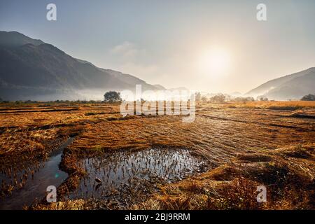 Reisfeld in der Nähe des Himalaya bei Sonnenaufgang in Pokhara, Nepal Stockfoto