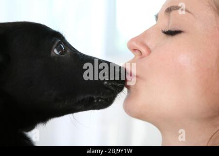 Schöne Mädchen küssen mit Labrador, Nahaufnahme Stockfoto