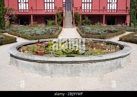 Lotusteich im botanischen Garten von Porto, Portugal. Stockfoto