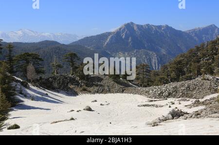 Blick von Tahtali Dagi Berge auf verschneiten Tal mit Zedern. Likya Yolu Touristenpfad in der Türkei Stockfoto