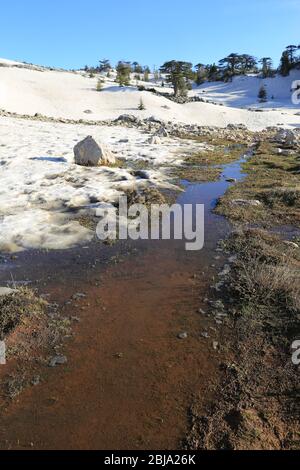 Frühlingslandschaft mit Wasser aus geschmolzenem Schnee auf Bergwiese Stockfoto