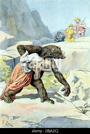 Ein mythischer Bigfoot, Big Foot oder Sasquatch Ape-ähnliche Kreatur entführt eine Frau in Nordamerika US 1897 entführt. Vintage oder Alte Illustration oder Gravur 1897 Stockfoto