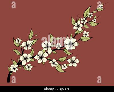 Magnolienzweig mit Blättern, tolles Design für jeden Zweck. Blumenmuster. Isolierte Vektordarstellung. Vektorgrafik Clipart. Stock Vektor