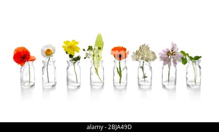 Verschiedene heilende Blüten in kleinen Glasflaschen auf weißem Hintergrund Stockfoto