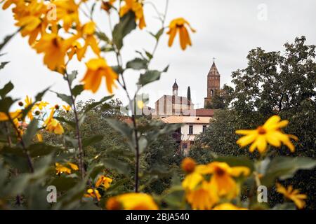 Alte traditionelle Kirche mit gelben Blüten in Signagi, Georgien gerahmt Stockfoto