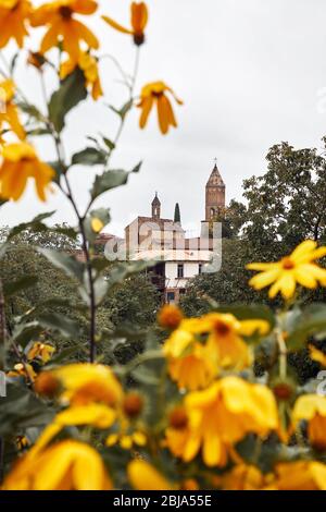 Alte traditionelle Kirche mit gelben Blüten in Signagi, Georgien gerahmt Stockfoto