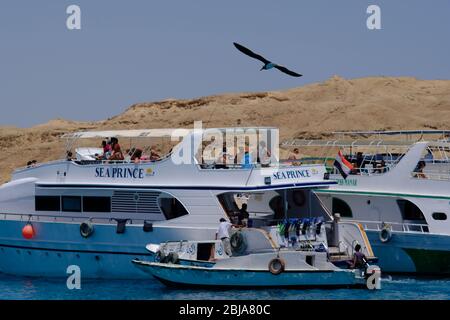 Hurghada / Ägypten - 21. Mai 2019: Boote, die Touristen zum Schnorcheln und Tauchen in der Nähe der Insel Giftun im Roten Meer, Hurghada, Ägypten Stockfoto
