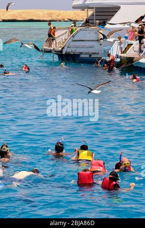 Hurghada / Ägypten - 21. Mai 2019: Gruppe von Touristen Schnorcheln und Tauchen in der Nähe von Giftun Insel im Roten Meer, Hurghada, Ägypten Stockfoto