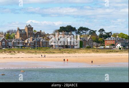 Blick auf den Strand und die Häuser in West Bay in North Berwick, East Lothian, Schottland, Großbritannien Stockfoto
