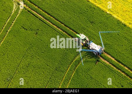 Pestizidbehandlung auf einem Feld in Soerster Boerde, 07.06.2019, Luftaufnahme, Deutschland, Nordrhein-Westfalen, Werl Stockfoto