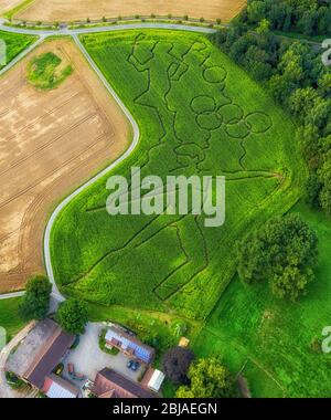 Labyrinth - Labyrinth mit den Umrissen der olympischen Ringe und sportlichen Designs auf Kornfeldern in Selm, 07.08.2016, Luftaufnahme, Deutschland, Nordrhein-Westfalen, Ruhrgebiet, Selm Stockfoto