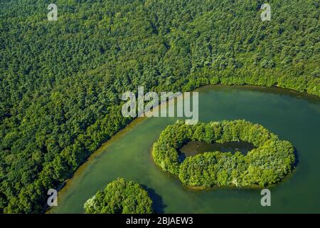 , Heidesee mit Insel in Grafenmühle, 19.07.2016, Luftaufnahme, Deutschland, Nordrhein-Westfalen, Grafenwald Stockfoto