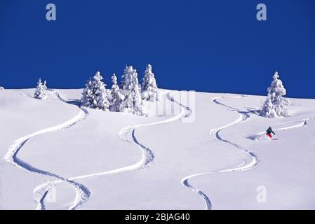 Abseits der Piste im Skigebiet Sainte Foy Tarentaise, Frankreich, Savoie Stockfoto