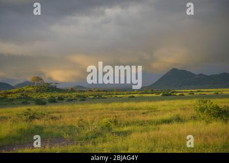 Gewitterwolken in Buffalo Springs, Kenia Ostafrika Stockfoto