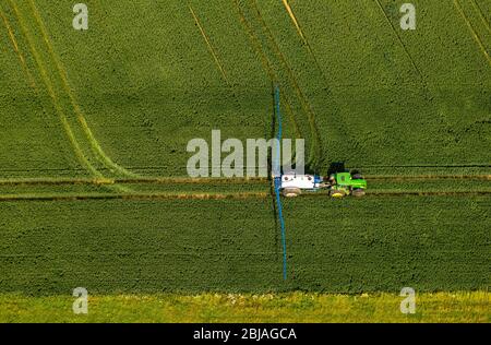 Pestizidbehandlung auf einem Feld in Soerster Boerde, 07.06.2019, Luftaufnahme, Deutschland, Nordrhein-Westfalen, Werl Stockfoto