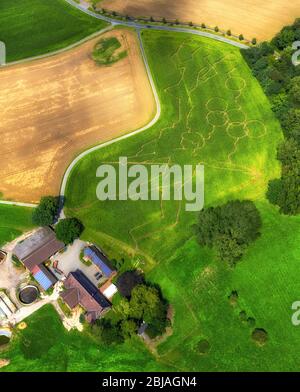 Labyrinth - Labyrinth mit den Umrissen der olympischen Ringe und sportlichen Designs auf Kornfeldern in Selm, 07.08.2016, Luftaufnahme, Deutschland, Nordrhein-Westfalen, Ruhrgebiet, Selm Stockfoto