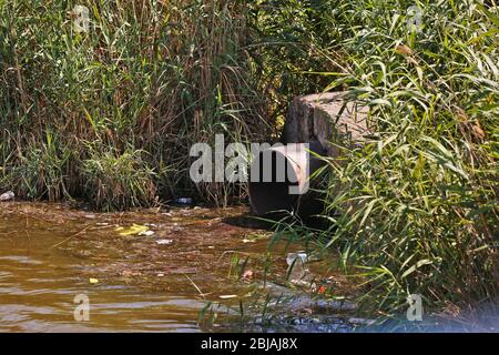 Wasserverschmutzung durch Abwasserleitung Stockfoto