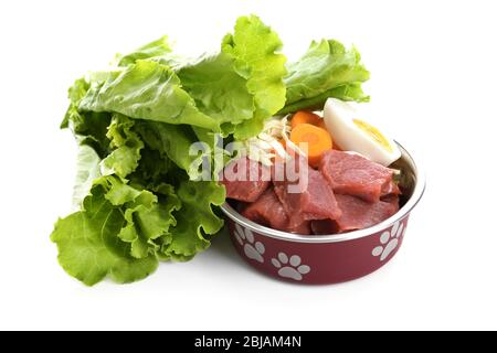 Gesundes Hundefutter, isoliert auf Weiß Stockfoto
