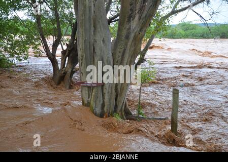 Ewasyiso Nyiro Fluss überflutet seine Ufer in Sarova Shaba Game Lodge in der Nähe von Samburu und Buffalo Springs, Kenia Ostafrika Stockfoto