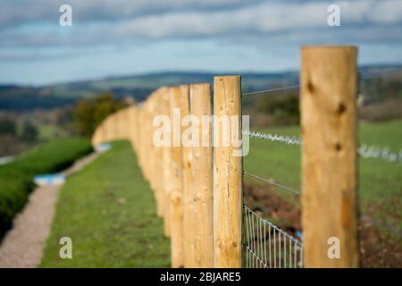 Eine Reihe von hölzernen Zaunpfählen, die eine Feldgrenze in Cumbria, England markieren. Stockfoto