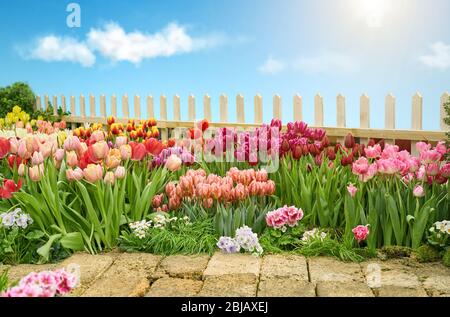 Bunte Blumenbeete und Pfad im Frühlingsgarten Stockfoto