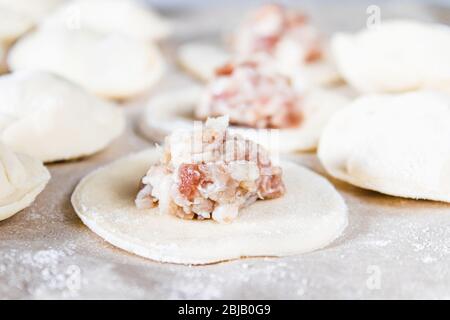 Der Prozess der Herstellung von hausgemachten Knödeln. Hackfleisch auf dem Teig, der Prozess der Herstellung von hausgemachten Knödel. Russisches Essen. Stockfoto