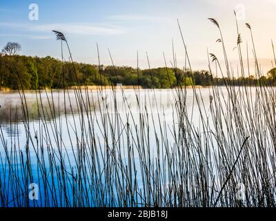 Ein sonniger Frühlingsmorgen im Coate Water in Swindon. Stockfoto