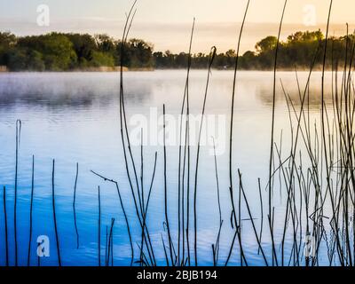 Sonnenaufgang im Frühling bei Coate Water in Swindon. Stockfoto