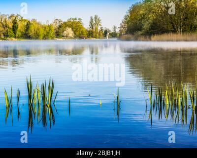 Ein sonniger Frühlingsmorgen im Coate Water in Swindon. Stockfoto