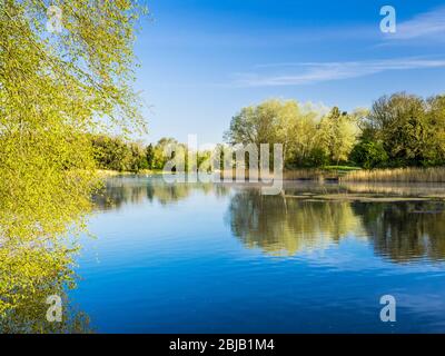 Ein sonniger Frühlingsmorgen im Coate Water in Swindon. Stockfoto