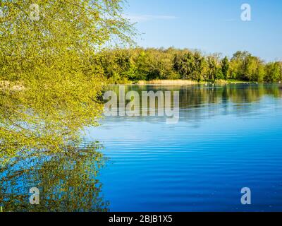 Ein sonniger Frühlingsmorgen im Coate Water in Swindon. Stockfoto