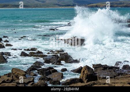 Wellen, die an einem stürmischen Tag in Waikawa, Neuseeland, bei Rocks in Porpoise Bay of New Zealand zerquetschen. Stockfoto