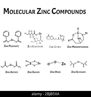 Molekulare Verbindungen von Zink. Die chemische Formel ist Picolinat, Citrat, Acetat, Monomethionin, Sulfat, Oxid, Zinkglycinat. Infografiken Stock Vektor