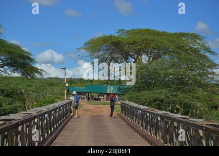 Brücke im Masai Mara Reserve, Kenia Stockfoto