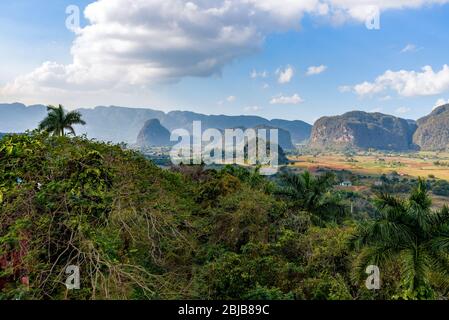 Kubanische Tabak region, tropischen sonnigen Ackerland Bereich bei Sonnenuntergang. Panoramablick über schönen Hügeln, hügelige Landschaft mit mogotes im Tal von Vinales. Stockfoto
