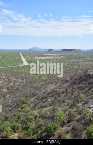 Blick auf namibische Landschaften und Natur. Von der Ugab Terrace Lodge aus gesehen. Stockfoto