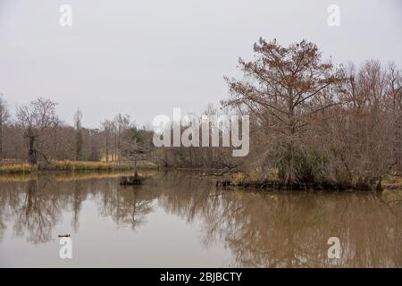 Lake Fausse Pointe State Park in Louisiana USA Stockfoto