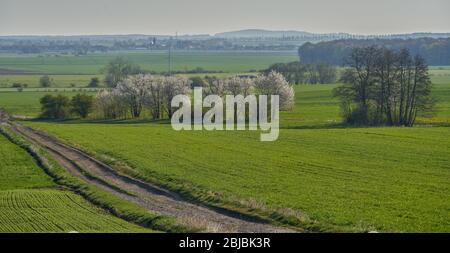 Niederschlesische Frühling ländliche Landschaft Stockfoto