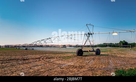 Bewässerung Wüstenzucht. Bewässerungssystem für die Landwirtschaft in Pivots in der Wüste in Al Sarar Saudi-Arabien Stockfoto