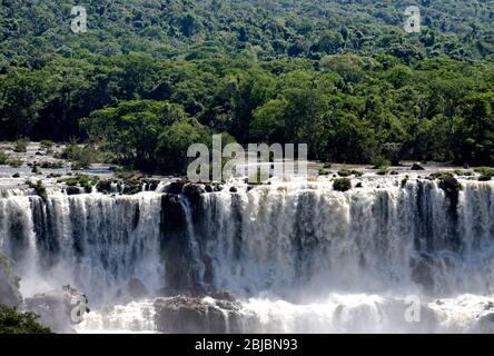 Die wütenden Ströme stürzen über die Iguacu Falls, Brasilien. Südamerika Stockfoto