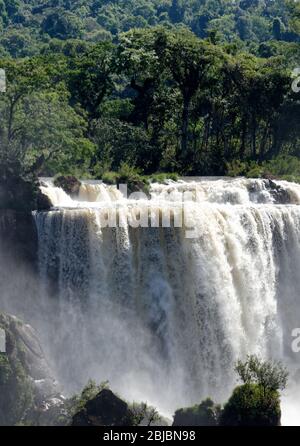 Die wütenden Ströme stürzen über die Iguacu Falls, Brasilien. Südamerika Stockfoto